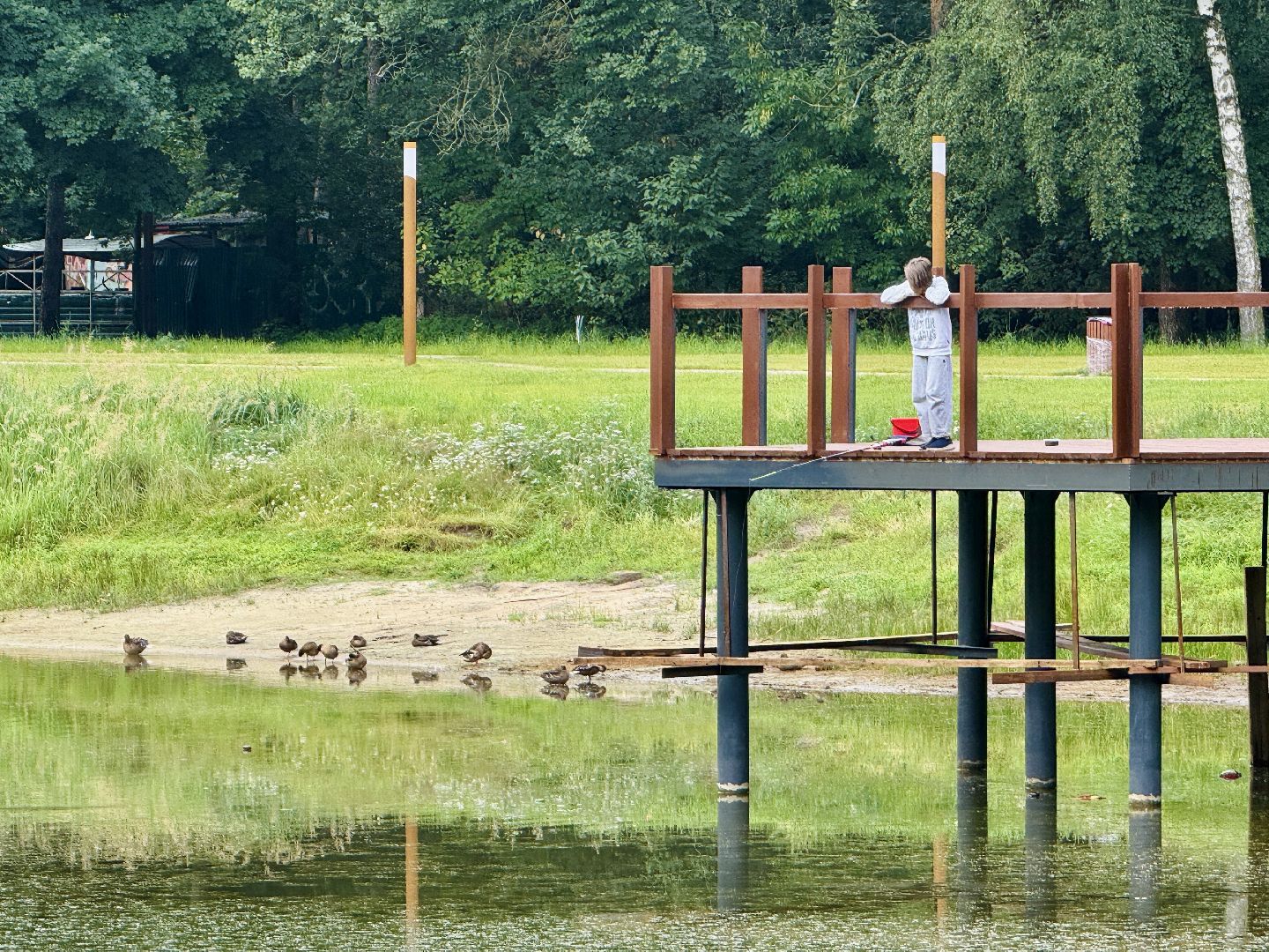 Раменское, ильинский, ильинский пруд, благоустройство, набережная,