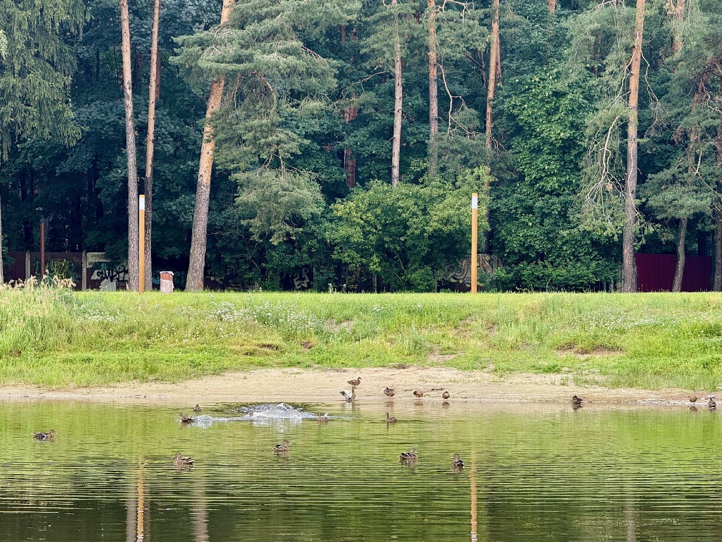Раменское, ильинский, ильинский пруд, благоустройство, набережная,
