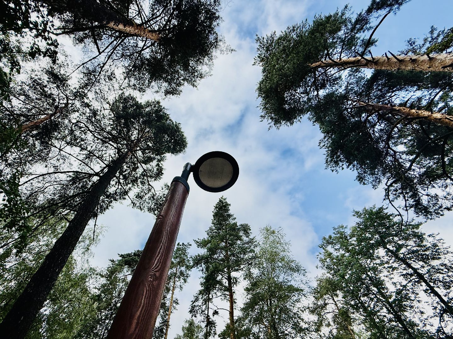 Раменское, ильинский, ильинский пруд, благоустройство, набережная,