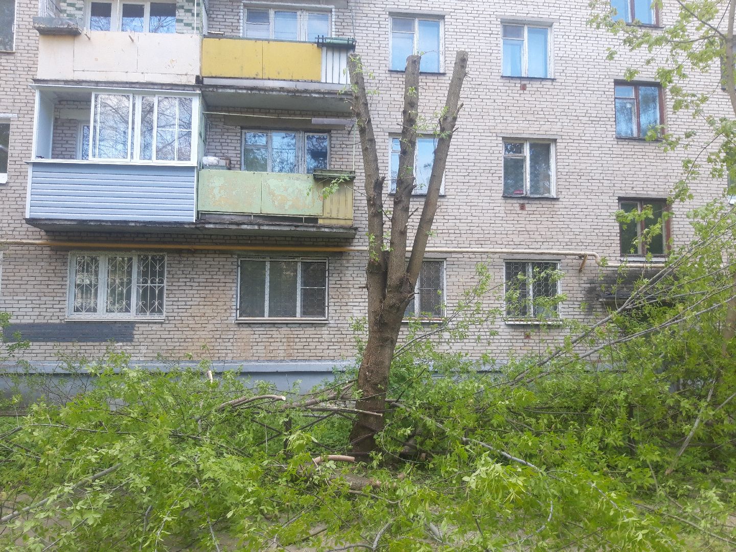 двор, доброе дело,