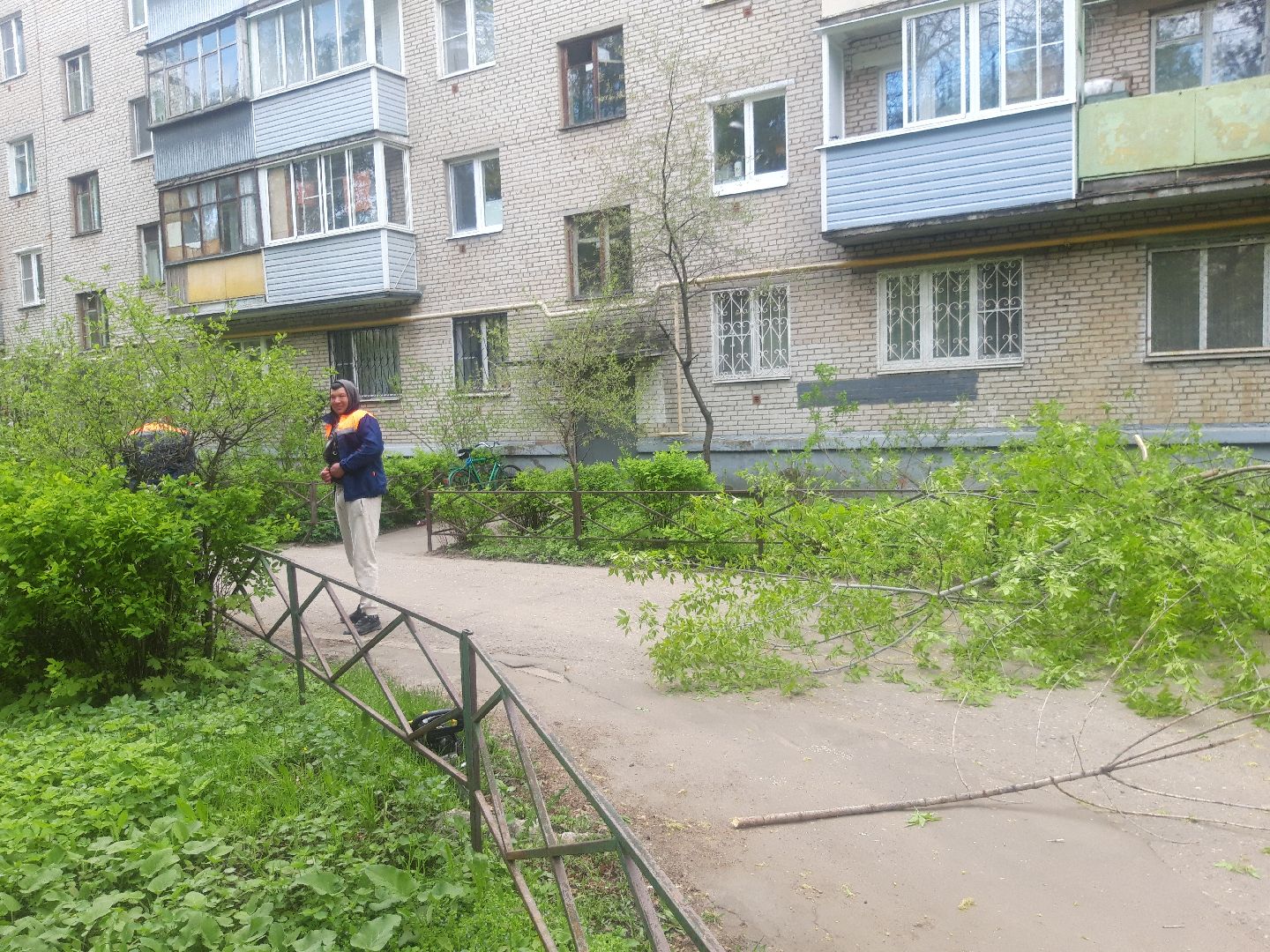 двор, доброе дело,