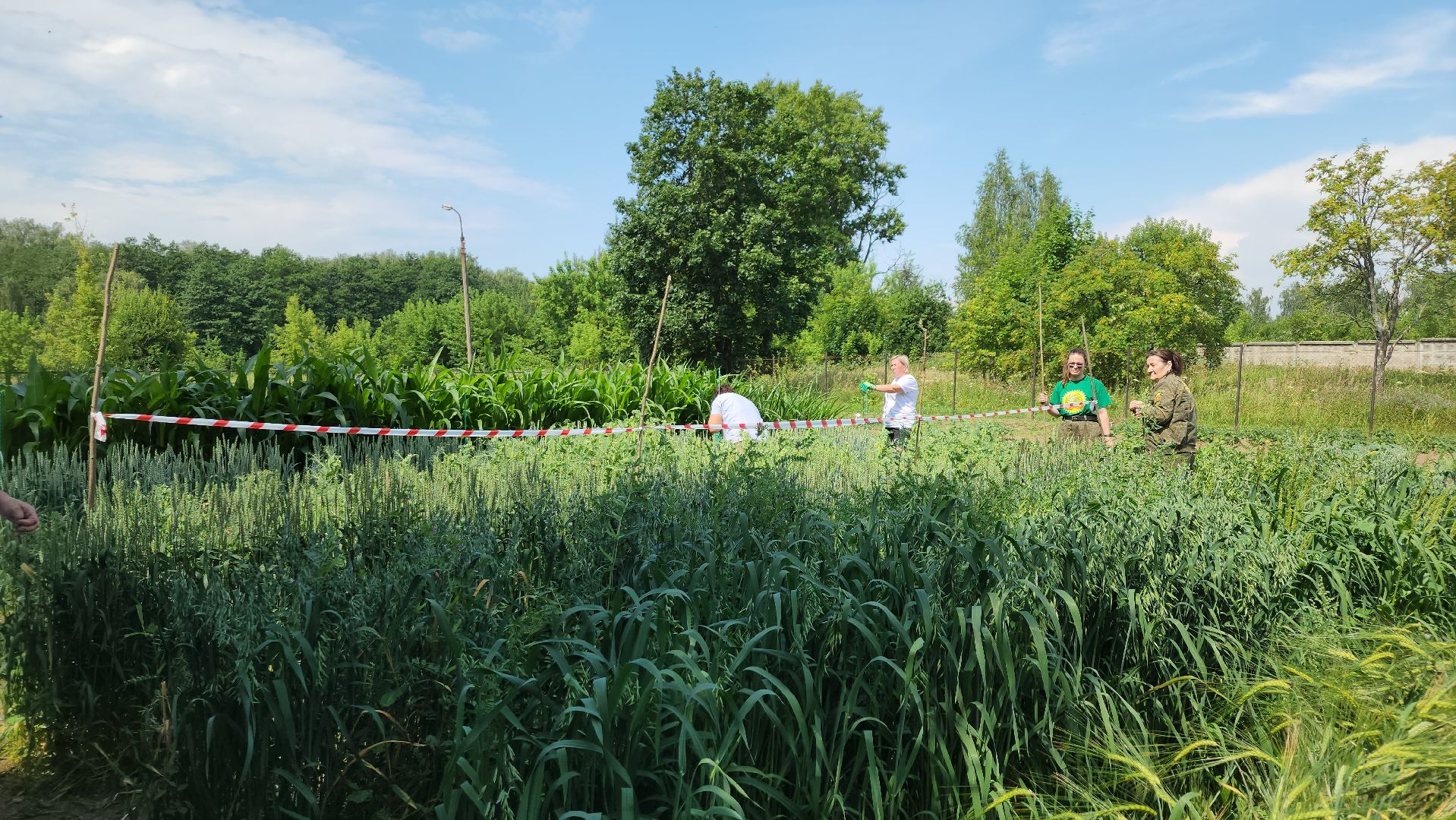 ступино, образование, агроклассы,
