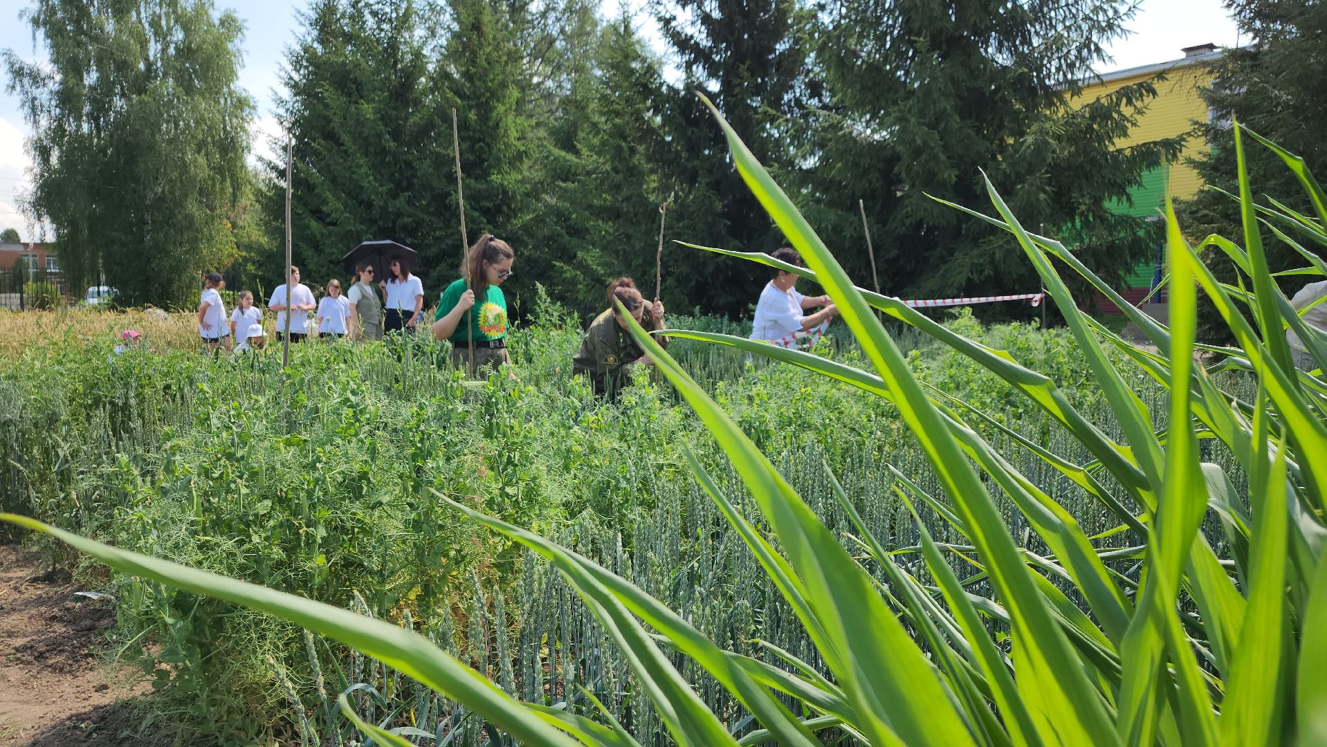 ступино, образование, агроклассы,