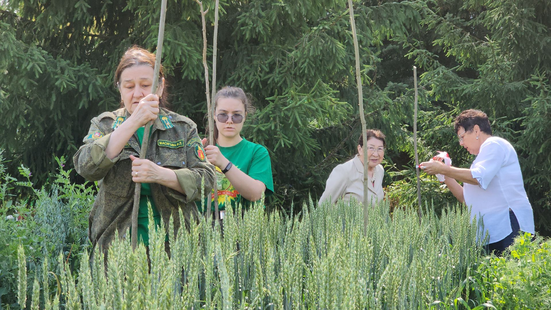 ступино, образование, агроклассы,