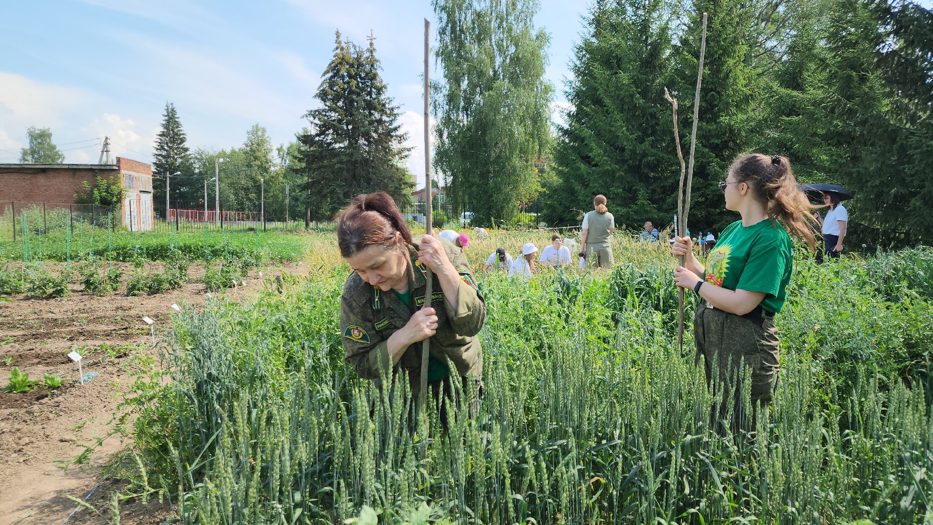ступино, образование, агроклассы,