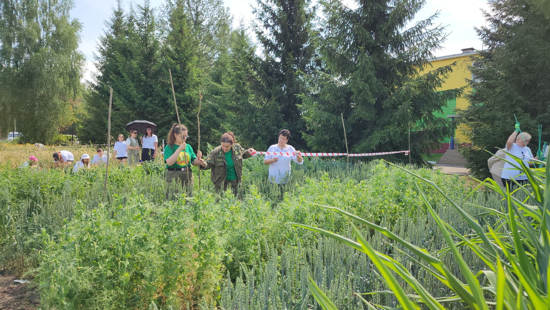 ступино, образование, агроклассы,