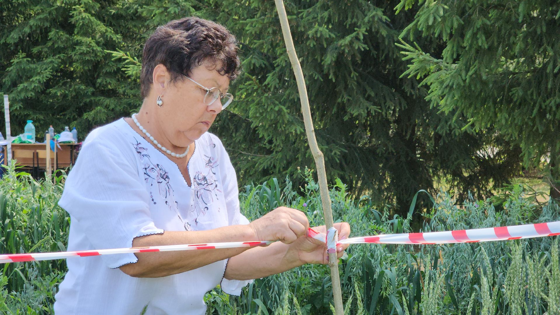 ступино, образование, агроклассы,