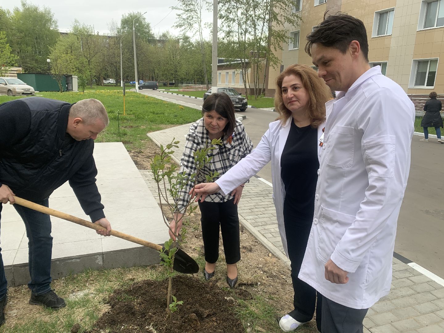 Медицина, семья, традиции, дети,