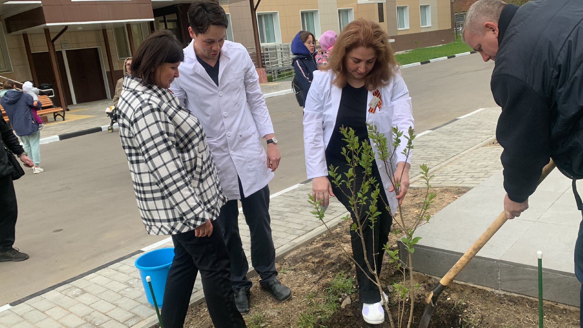 Медицина, семья, традиции, дети,