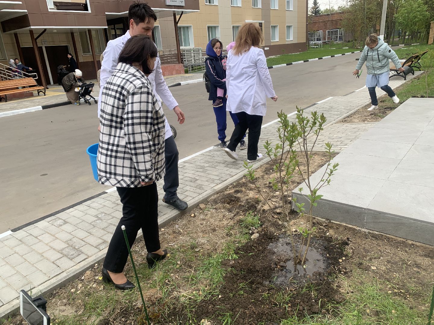 Медицина, семья, традиции, дети,