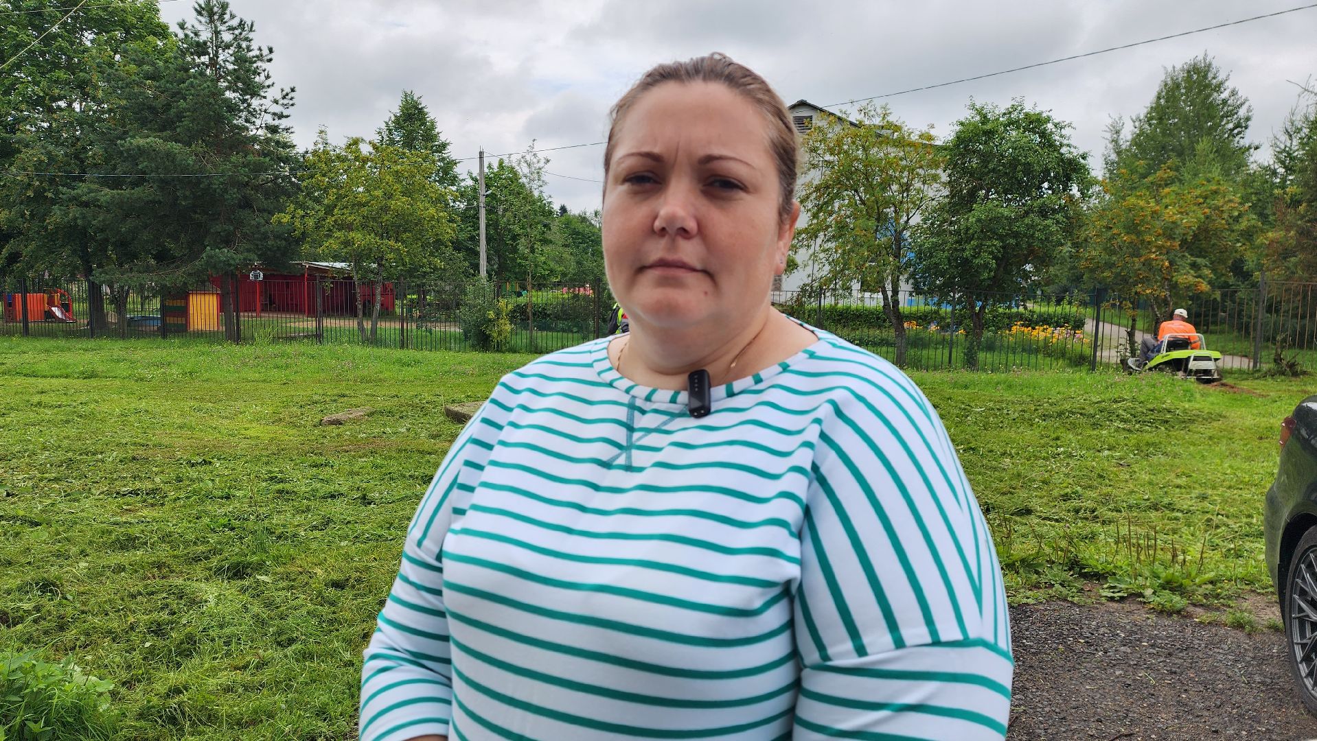 истра, благоустройство, покос травы,