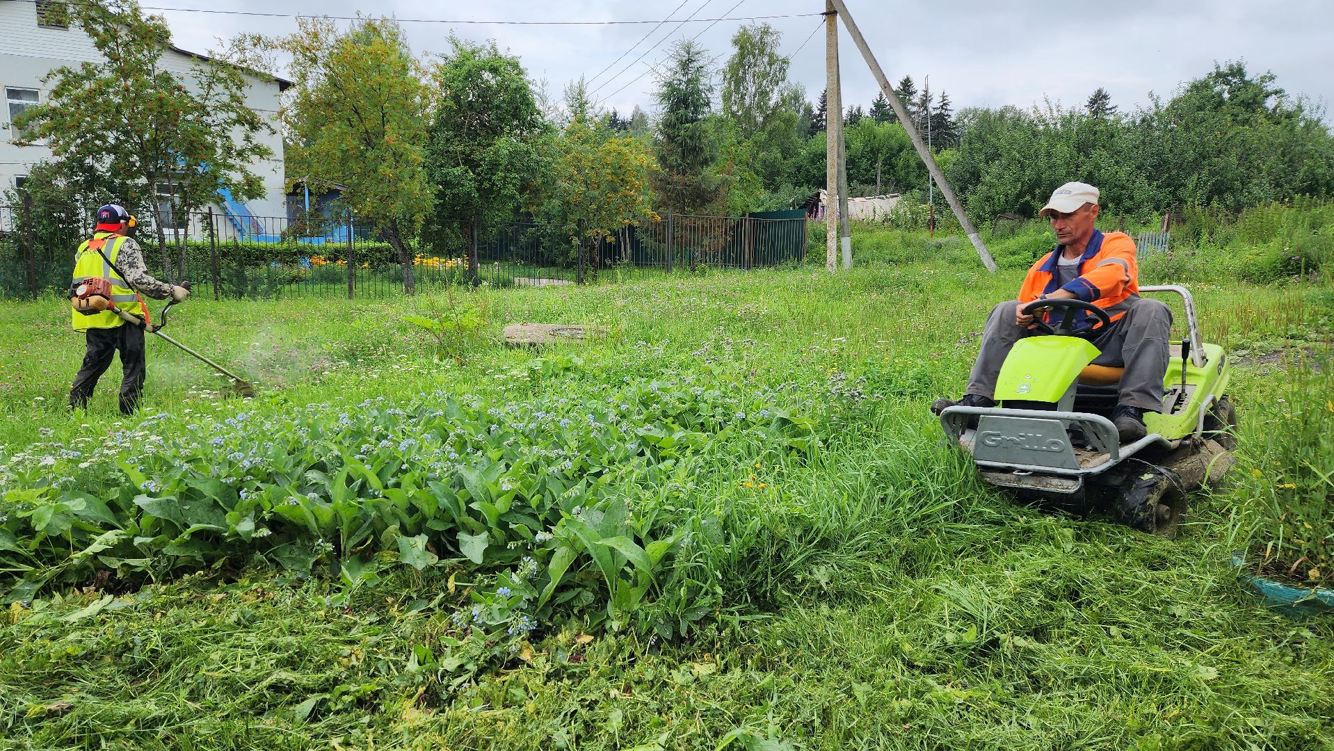 истра, благоустройство, покос травы,