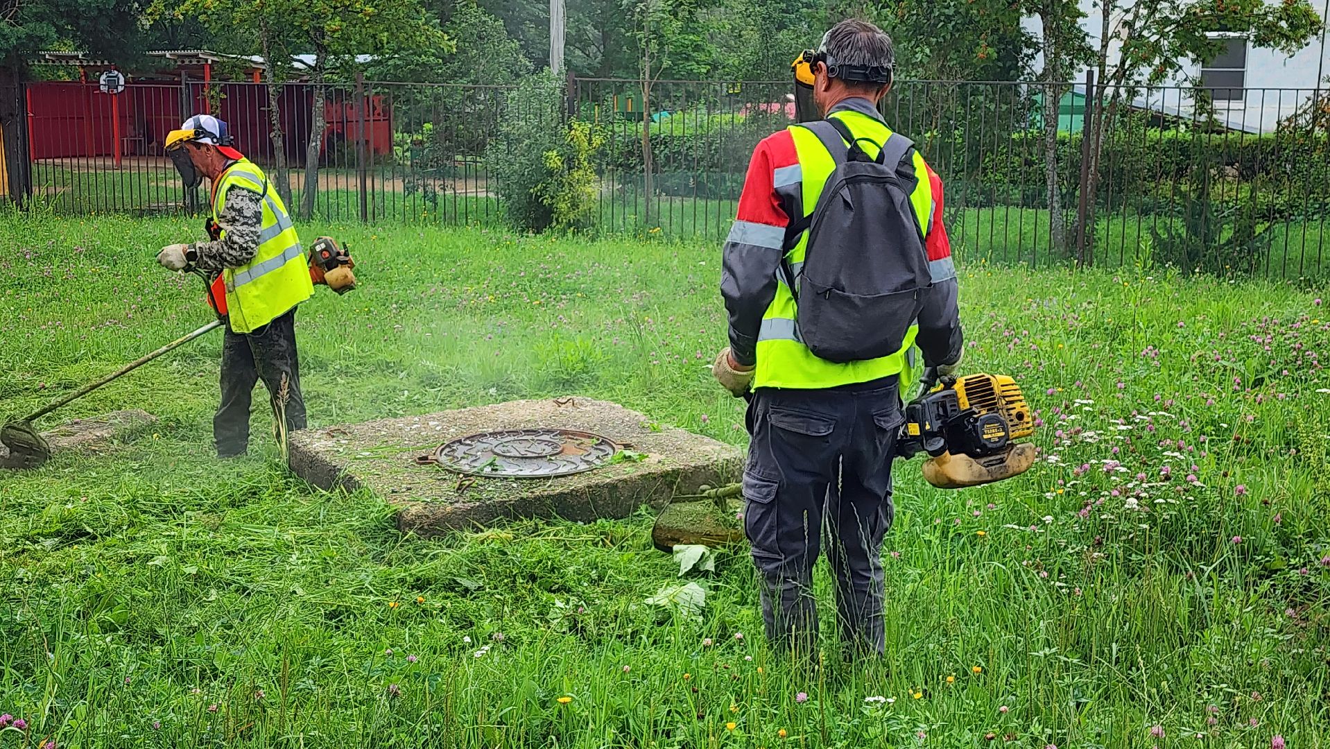 истра, благоустройство, покос травы,