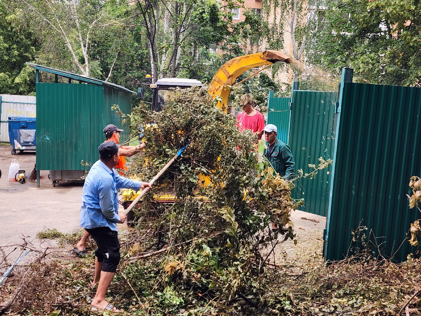чехов, улица чехова 6а, удаление аварийных деревьев, удаление сухостоя, опиловка, измельчение веток, мбу чеховское благоустройство, добродел, машина-измельчитель, обращения жителей,