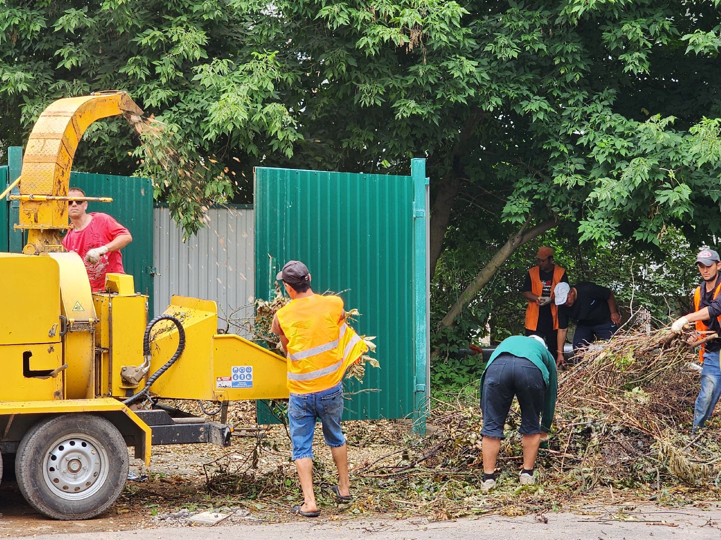 чехов, улица чехова 6а, удаление аварийных деревьев, удаление сухостоя, опиловка, измельчение веток, мбу чеховское благоустройство, добродел, машина-измельчитель, обращения жителей,
