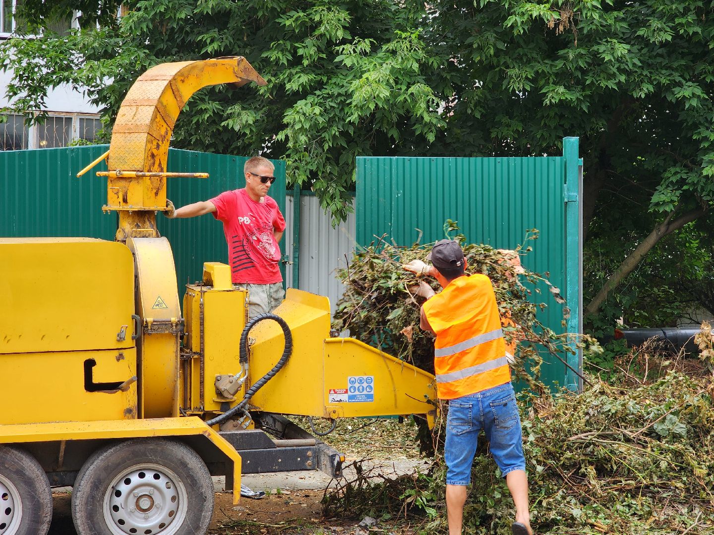 чехов, улица чехова 6а, удаление аварийных деревьев, удаление сухостоя, опиловка, измельчение веток, мбу чеховское благоустройство, добродел, машина-измельчитель, обращения жителей,