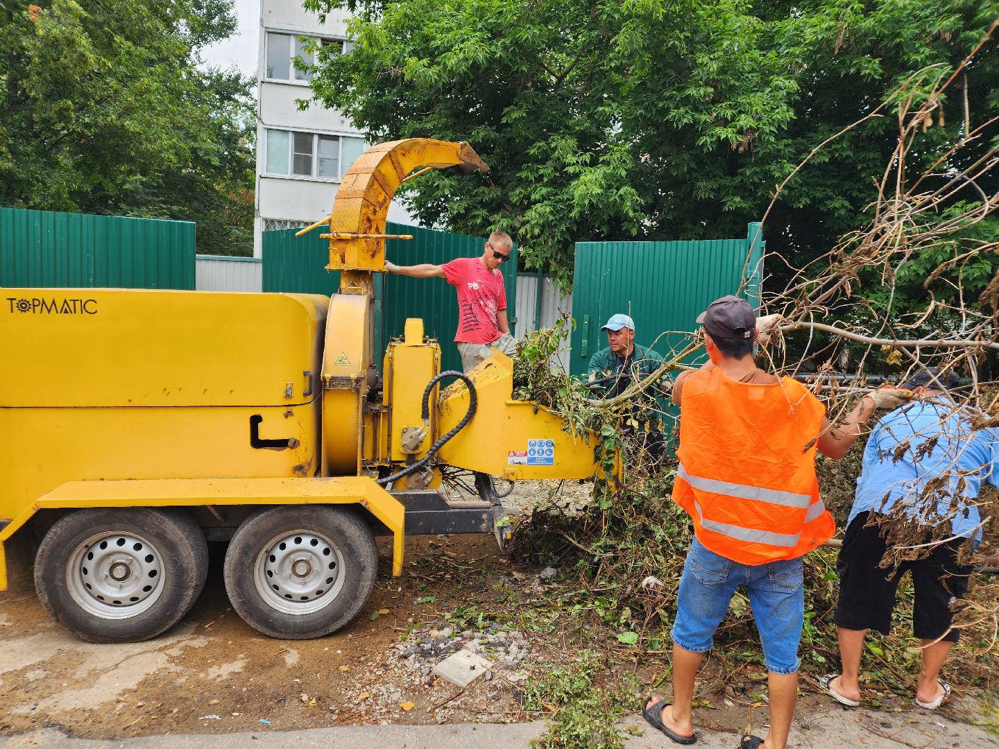 чехов, улица чехова 6а, удаление аварийных деревьев, удаление сухостоя, опиловка, измельчение веток, мбу чеховское благоустройство, добродел, машина-измельчитель, обращения жителей,