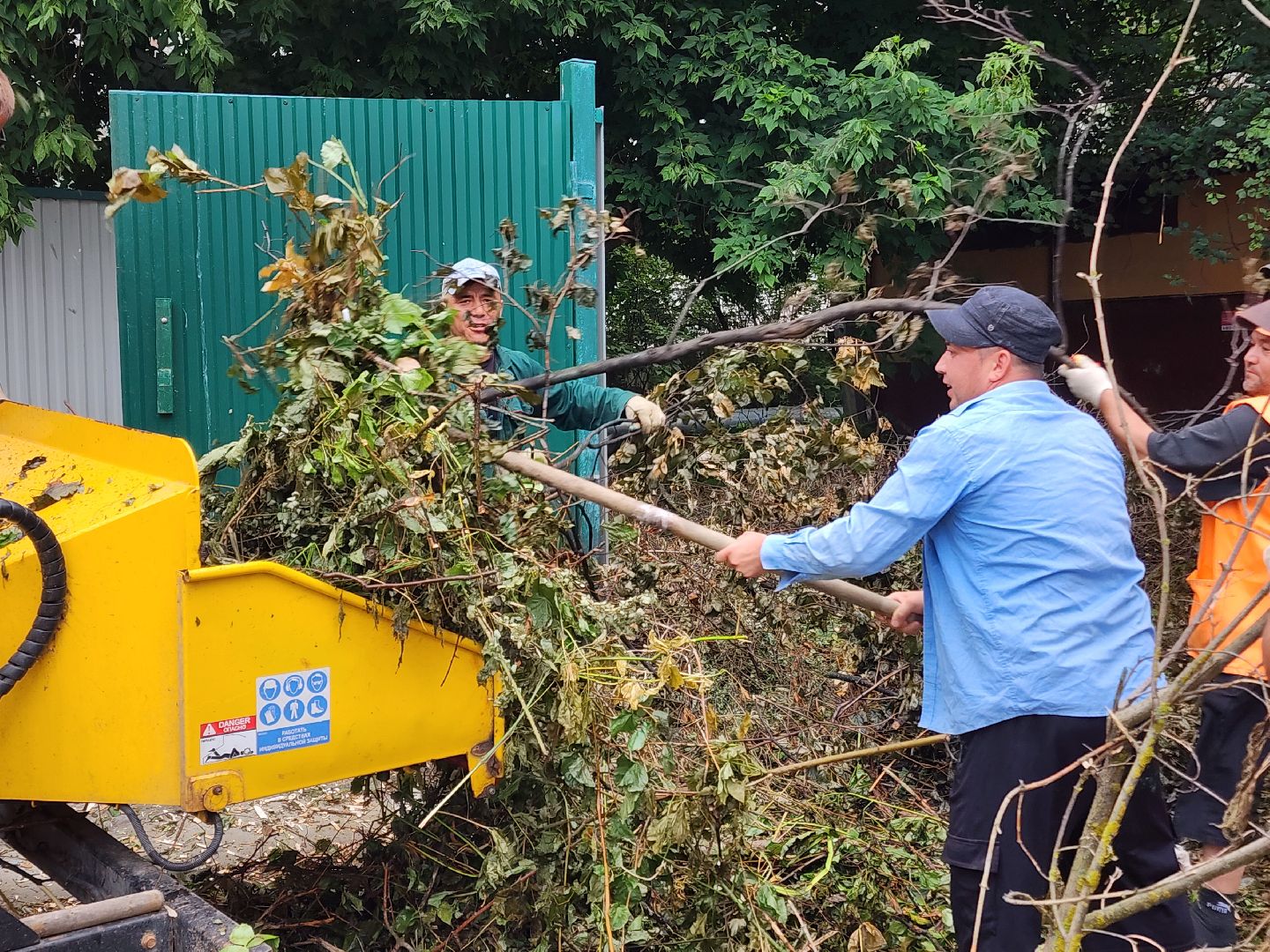 чехов, улица чехова 6а, удаление аварийных деревьев, удаление сухостоя, опиловка, измельчение веток, мбу чеховское благоустройство, добродел, машина-измельчитель, обращения жителей,