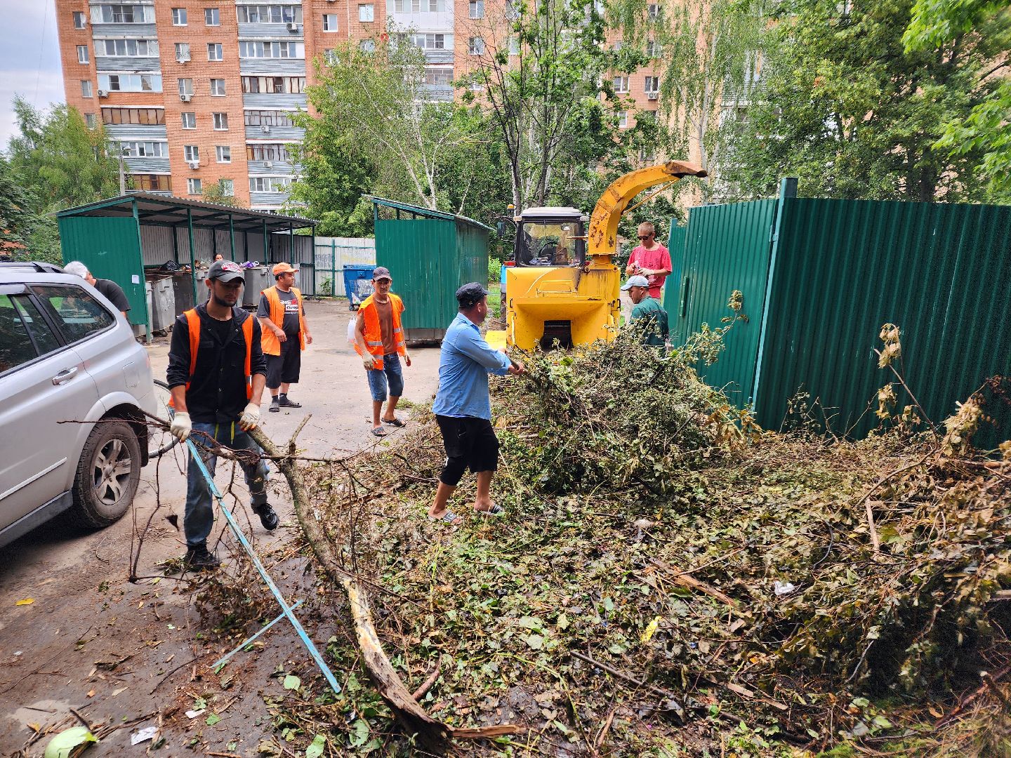 чехов, улица чехова 6а, удаление аварийных деревьев, удаление сухостоя, опиловка, измельчение веток, мбу чеховское благоустройство, добродел, машина-измельчитель, обращения жителей,