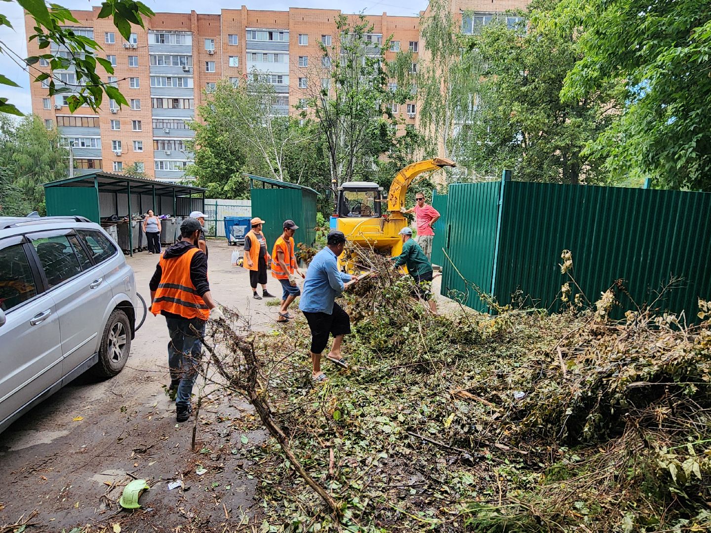 чехов, улица чехова 6а, удаление аварийных деревьев, удаление сухостоя, опиловка, измельчение веток, мбу чеховское благоустройство, добродел, машина-измельчитель, обращения жителей,