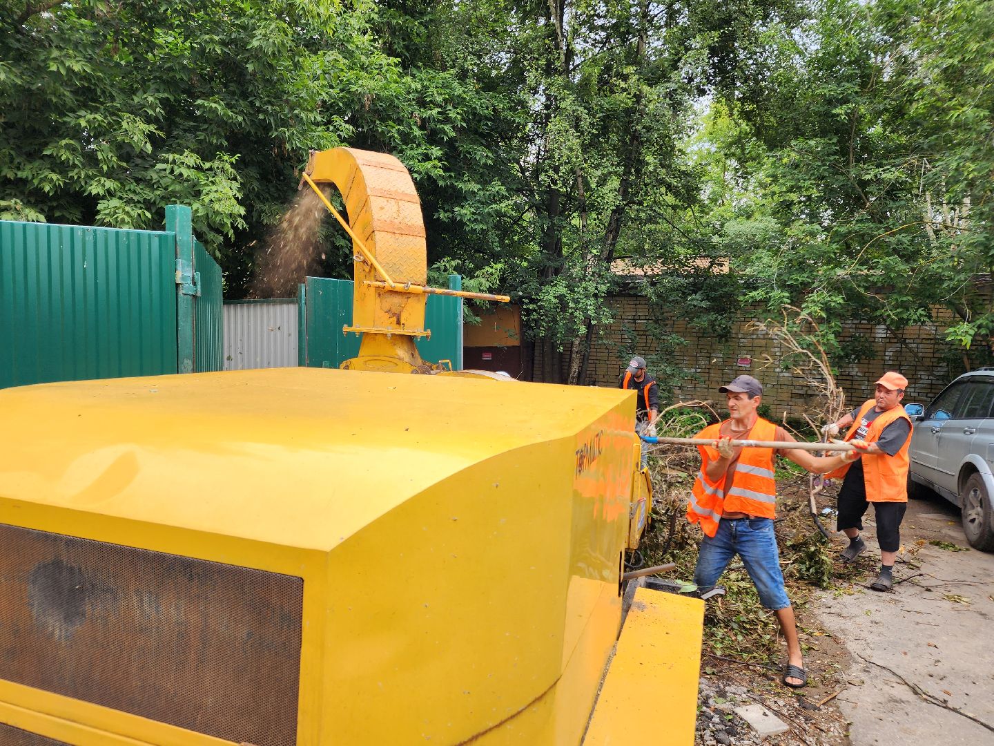 чехов, улица чехова 6а, удаление аварийных деревьев, удаление сухостоя, опиловка, измельчение веток, мбу чеховское благоустройство, добродел, машина-измельчитель, обращения жителей,