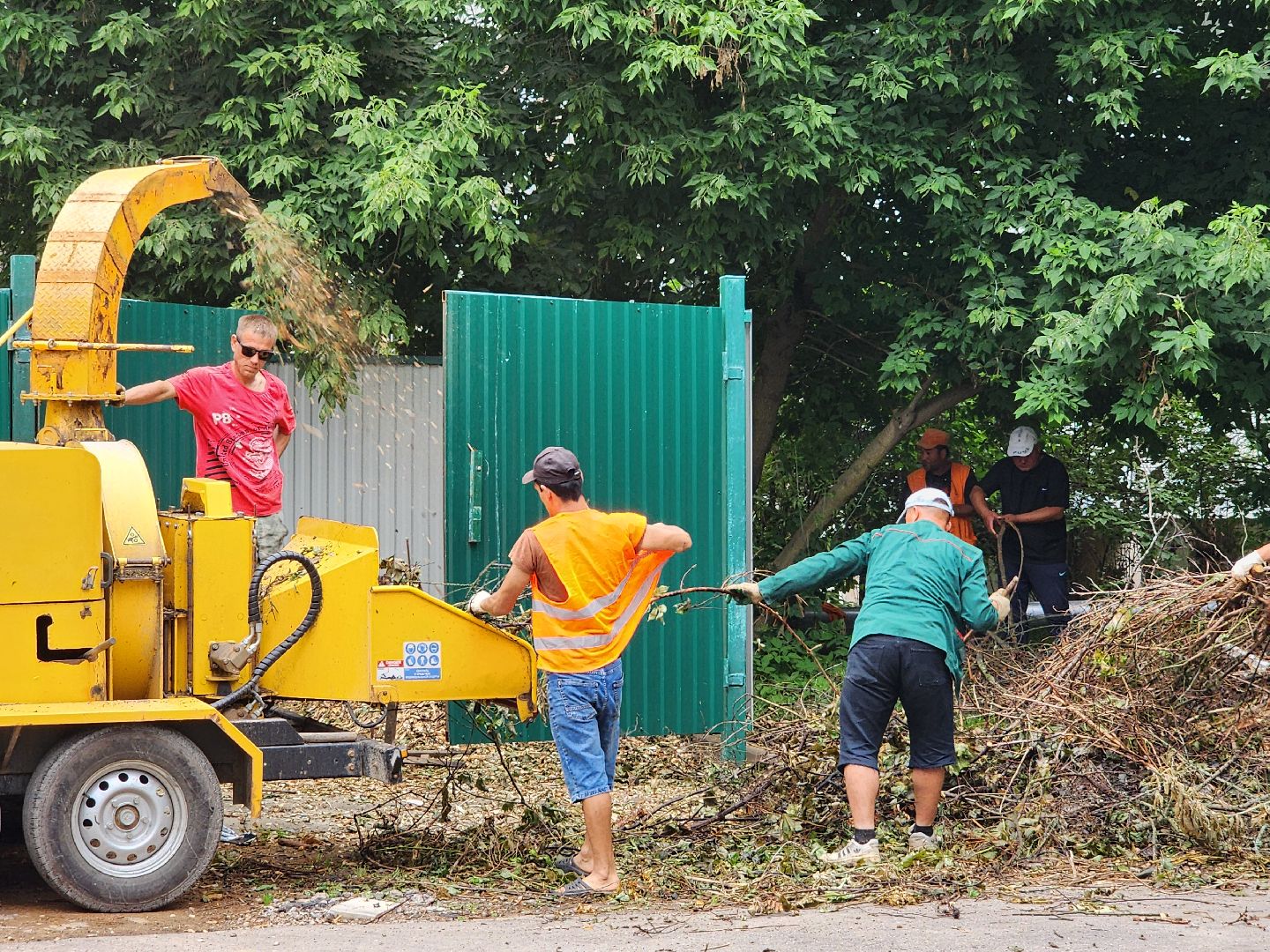 чехов, улица чехова 6а, удаление аварийных деревьев, удаление сухостоя, опиловка, измельчение веток, мбу чеховское благоустройство, добродел, машина-измельчитель, обращения жителей,