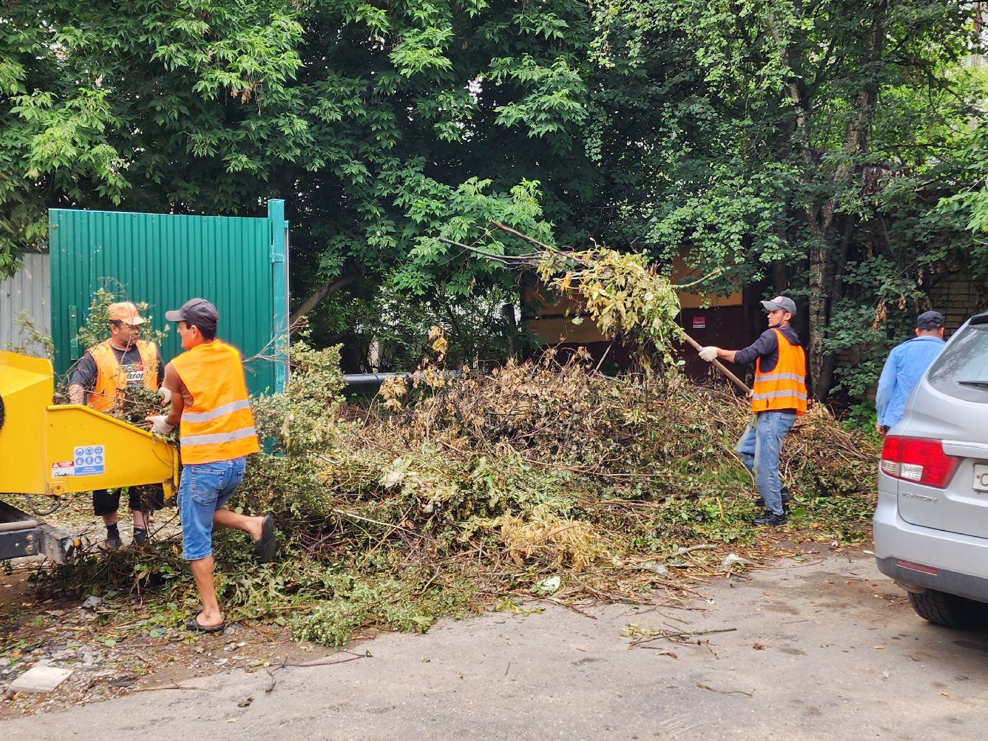 чехов, улица чехова 6а, удаление аварийных деревьев, удаление сухостоя, опиловка, измельчение веток, мбу чеховское благоустройство, добродел, машина-измельчитель, обращения жителей,