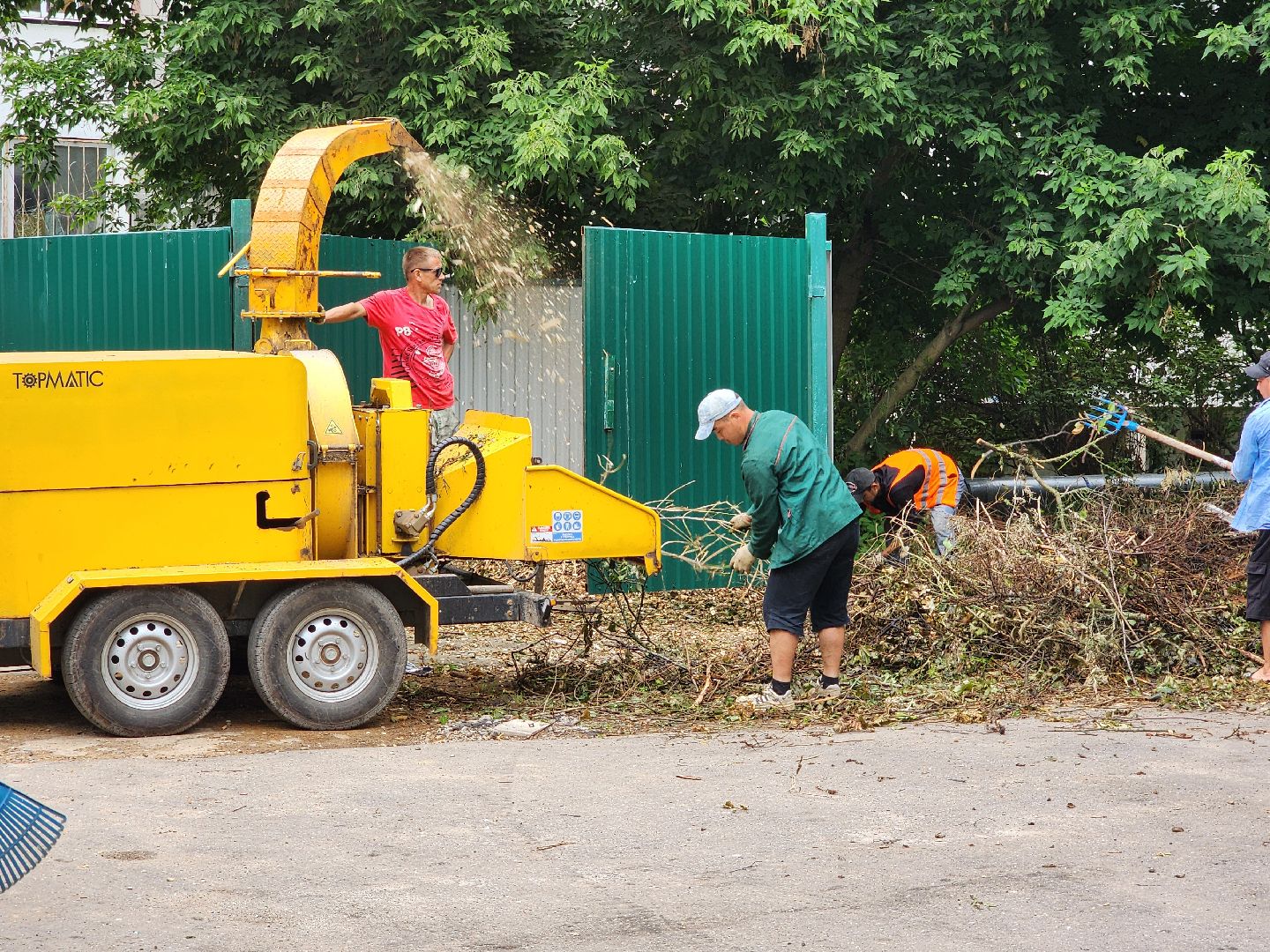 чехов, улица чехова 6а, удаление аварийных деревьев, удаление сухостоя, опиловка, измельчение веток, мбу чеховское благоустройство, добродел, машина-измельчитель, обращения жителей,