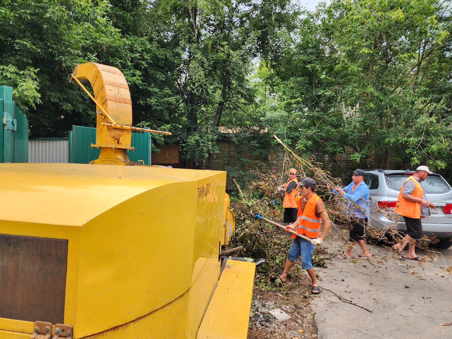 чехов, улица чехова 6а, удаление аварийных деревьев, удаление сухостоя, опиловка, измельчение веток, мбу чеховское благоустройство, добродел, машина-измельчитель, обращения жителей,