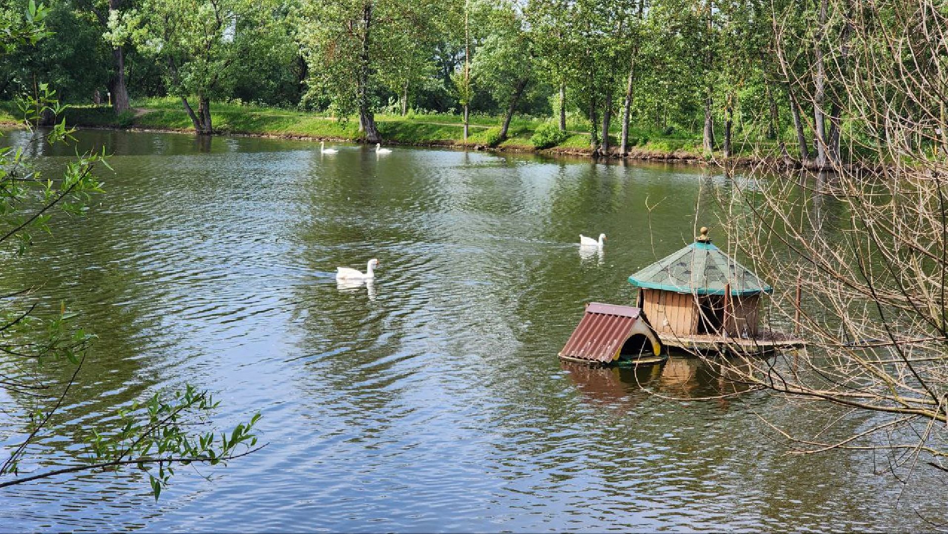 Дмитров, Орудьевское водохранилище, Экология , Благоустройство,