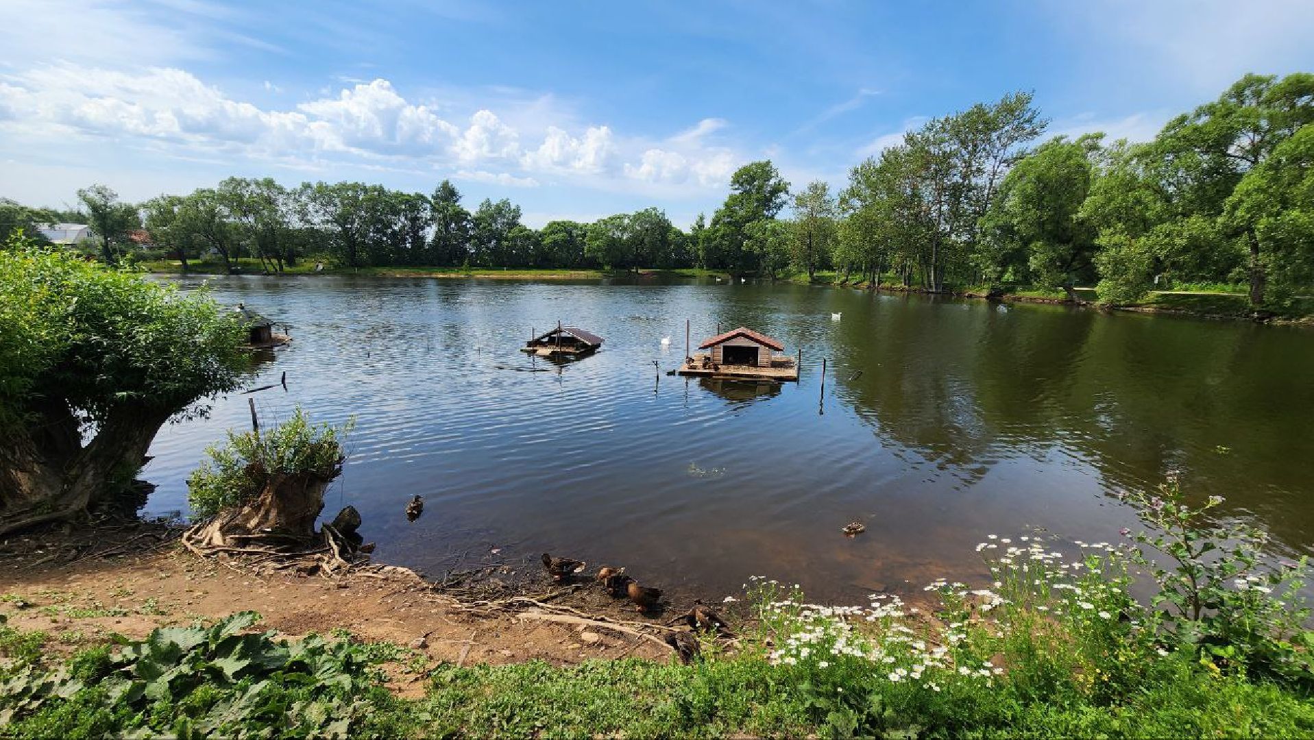 Дмитров, Орудьевское водохранилище, Экология , Благоустройство,