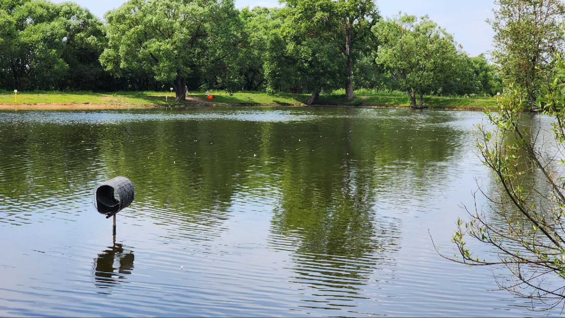 Дмитров, Орудьевское водохранилище, Экология , Благоустройство,