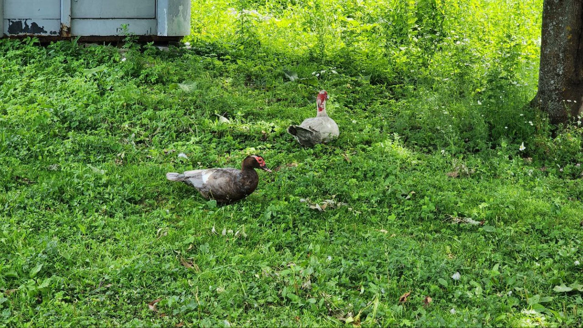 Дмитров, Орудьевское водохранилище, Экология , Благоустройство,