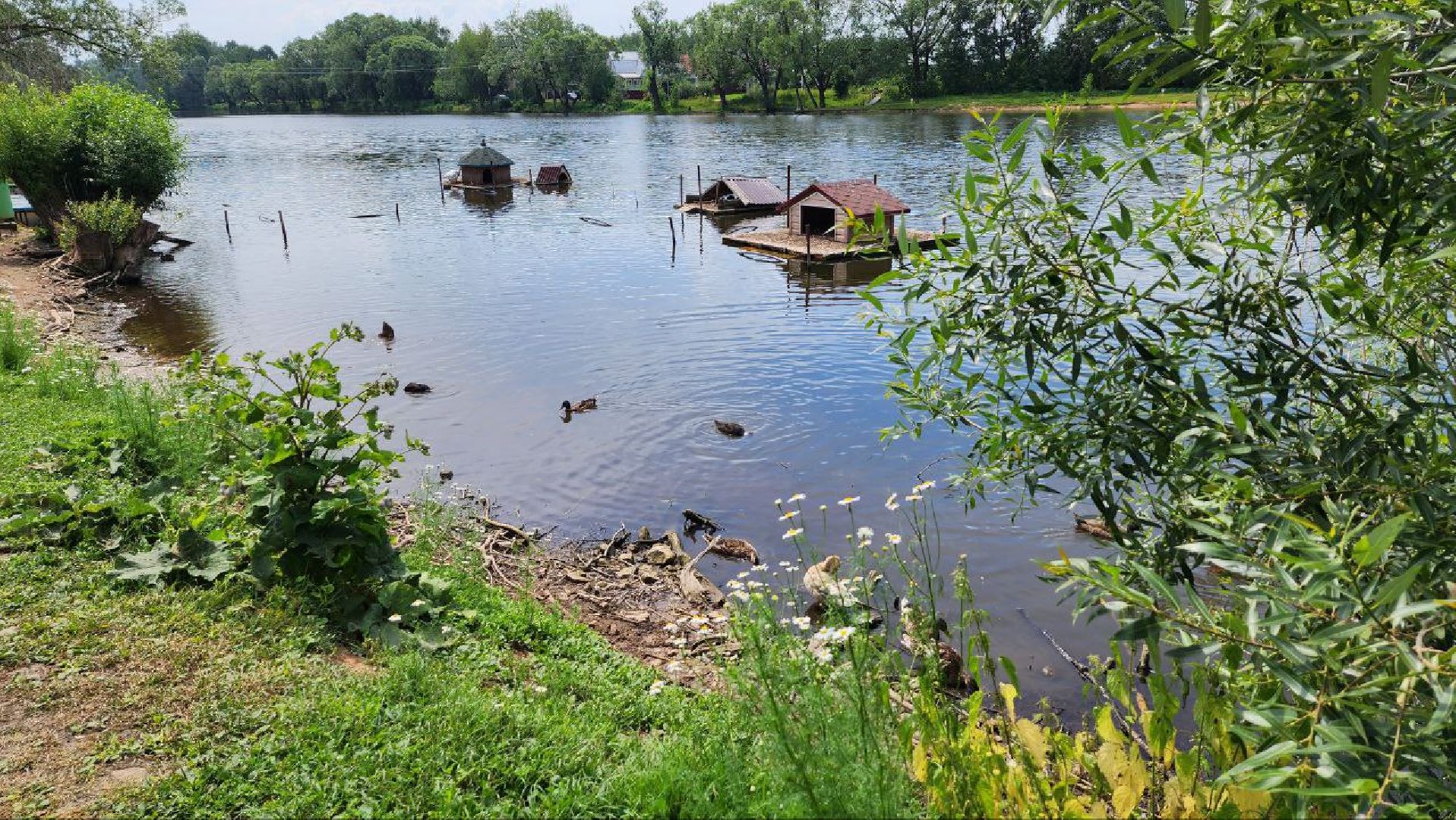 Дмитров, Орудьевское водохранилище, Экология , Благоустройство,