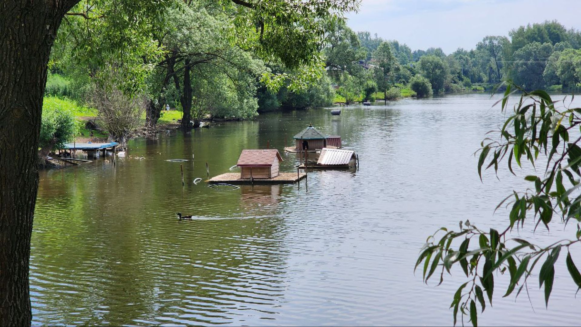 Дмитров, Орудьевское водохранилище, Экология , Благоустройство,