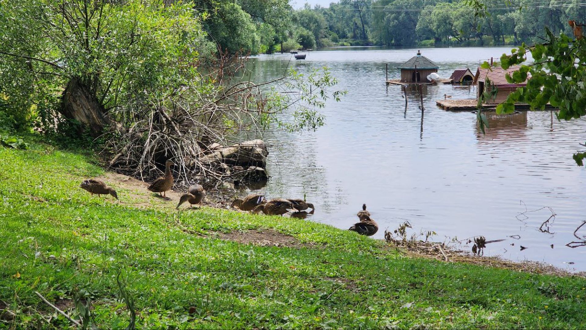 Дмитров, Орудьевское водохранилище, Экология , Благоустройство,