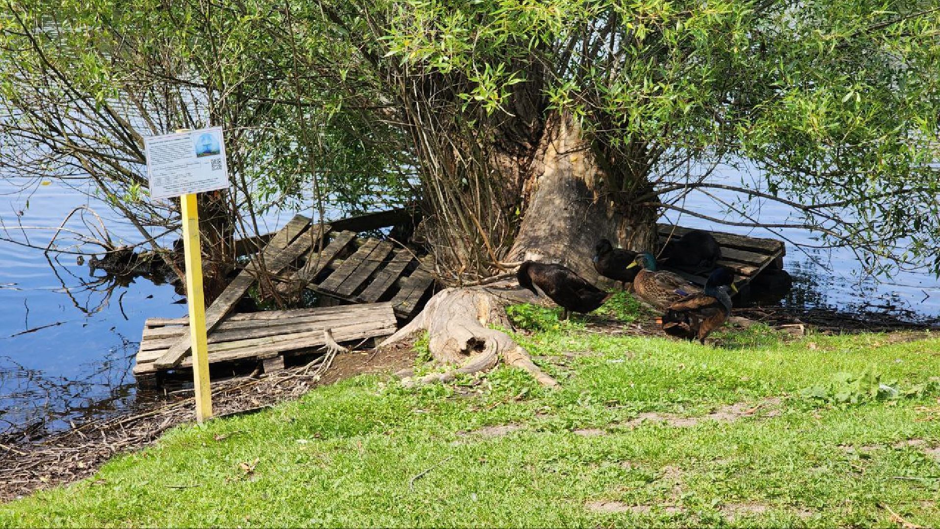 Дмитров, Орудьевское водохранилище, Экология , Благоустройство,