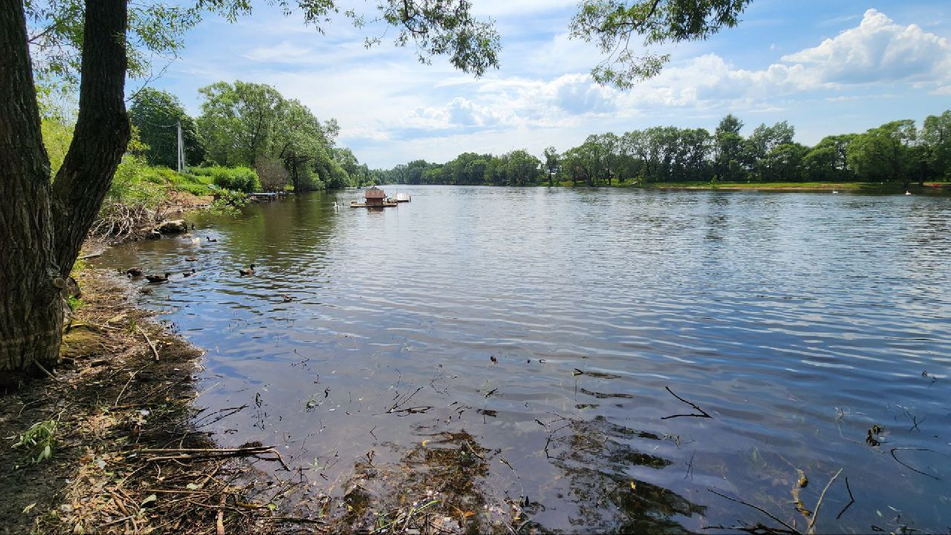 Дмитров, Орудьевское водохранилище, Экология , Благоустройство,