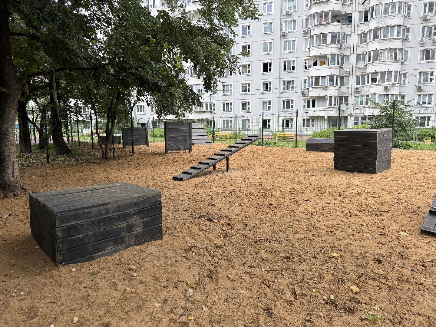 котельники, площадка для выгула собак, животные, собаки, благоустройство,