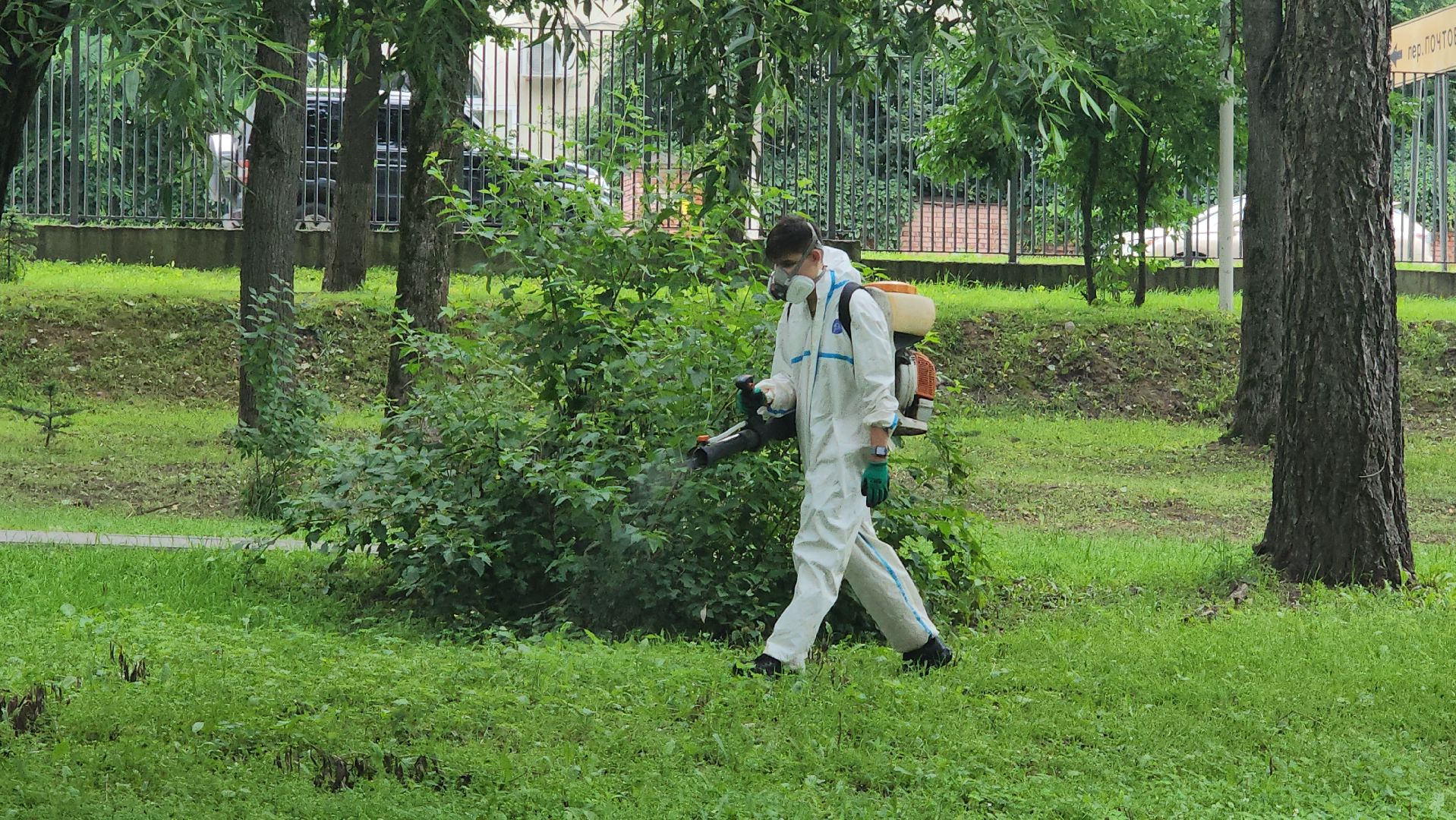 Истра, Парк, обработка от клещей, Клещи,