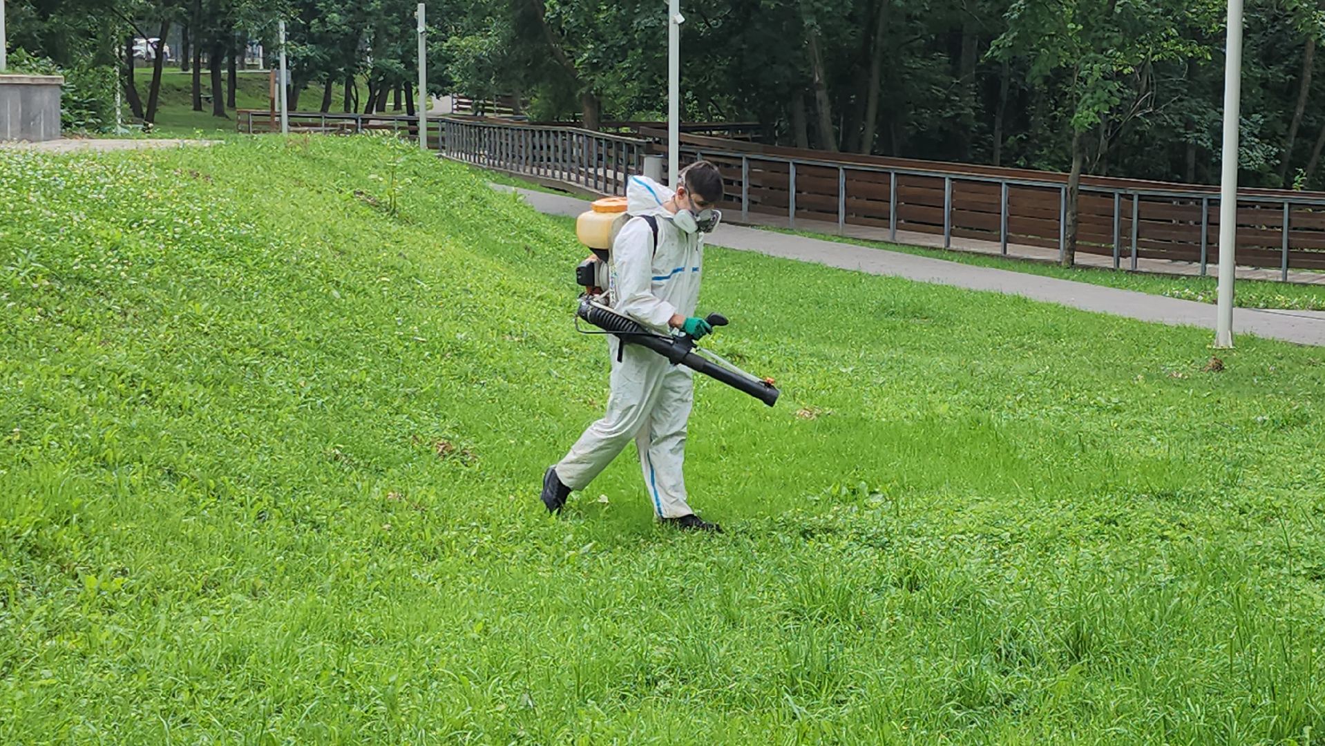 Истра, Парк, обработка от клещей, Клещи,