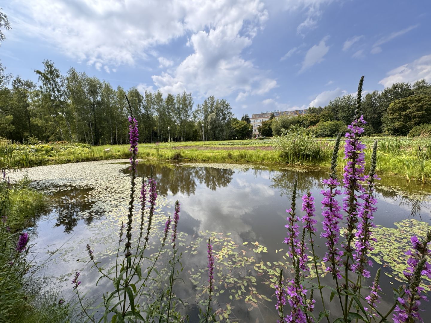 ФНЦО ВНИИСОК, Грибовская станция, Одинцово, Молодые учные,