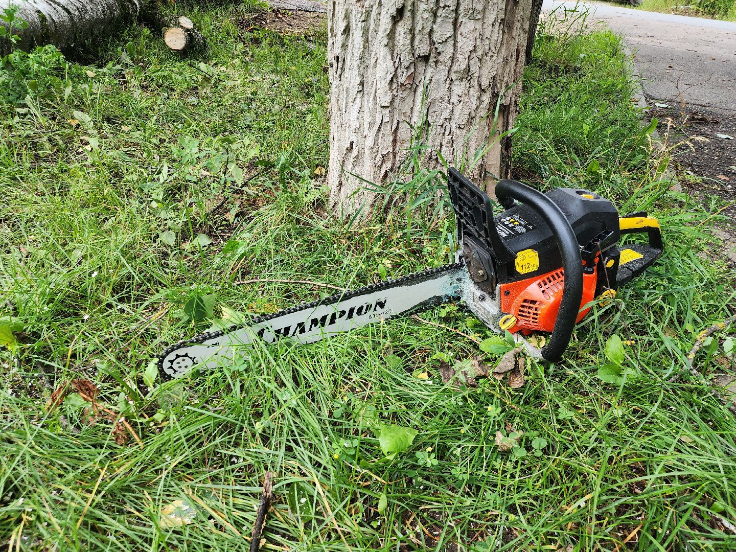 Истра, спил деревьев, непогода, упавшие деревья,