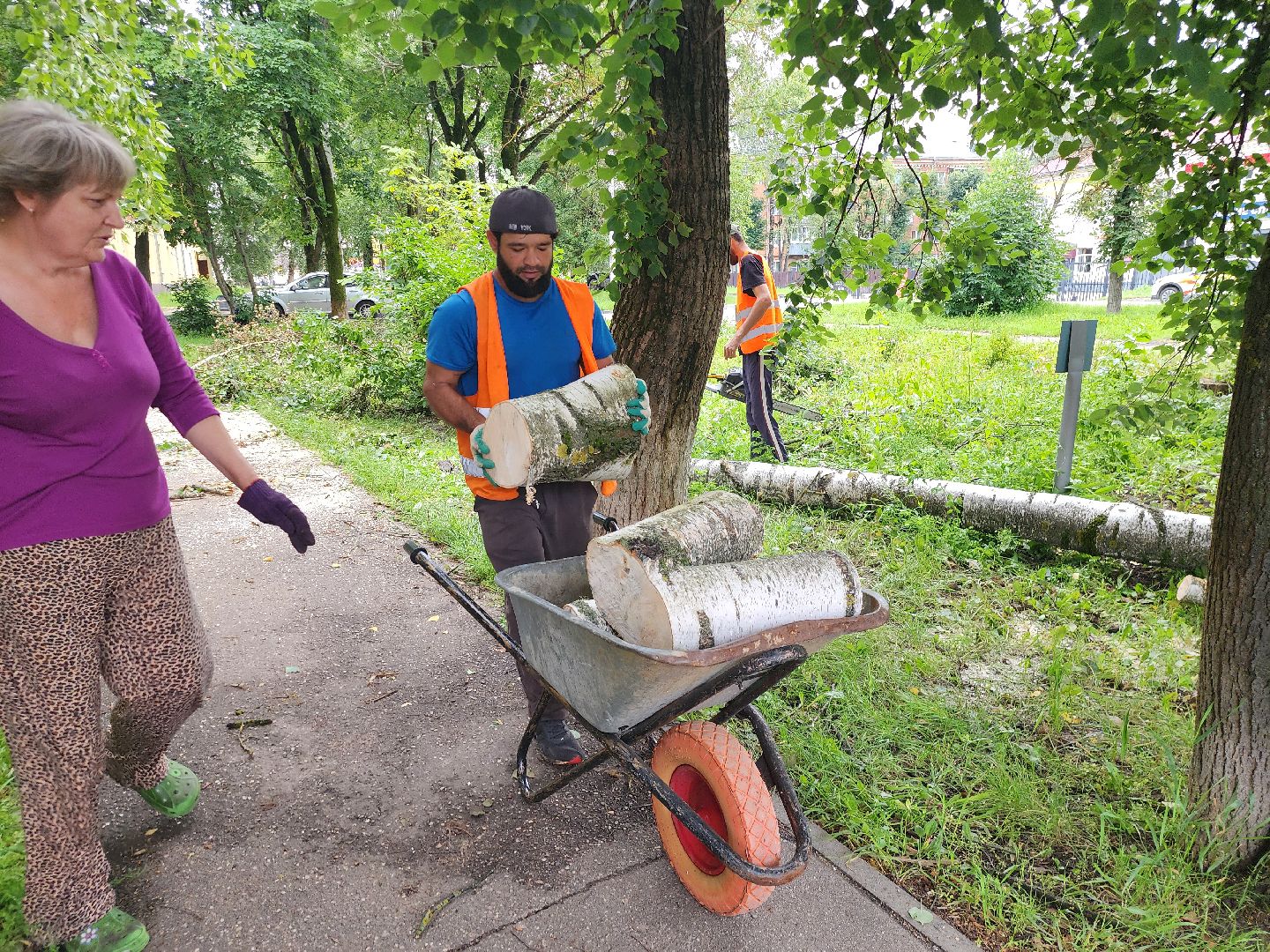 Истра, спил деревьев, непогода, упавшие деревья,