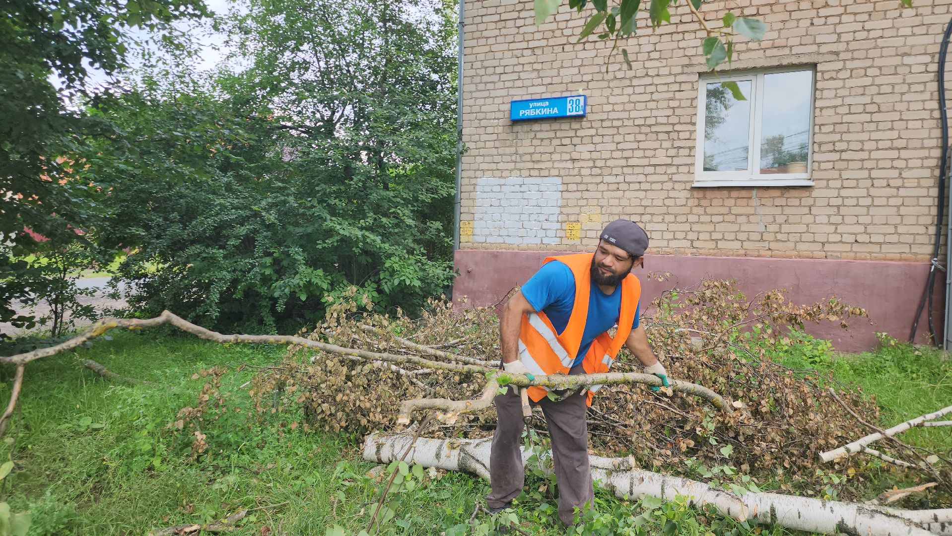 Истра, спил деревьев, непогода, упавшие деревья,
