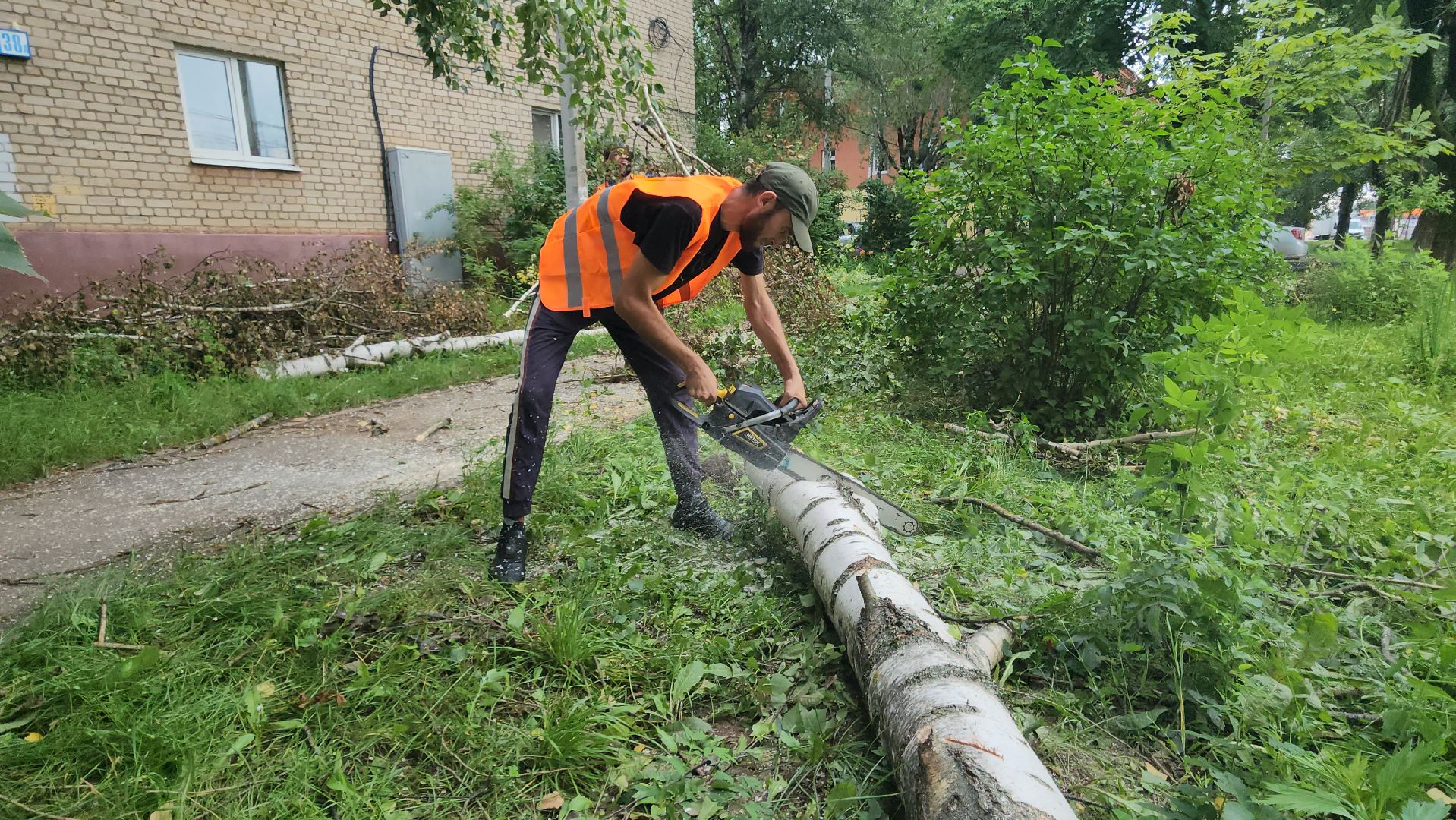 Истра, спил деревьев, непогода, упавшие деревья,