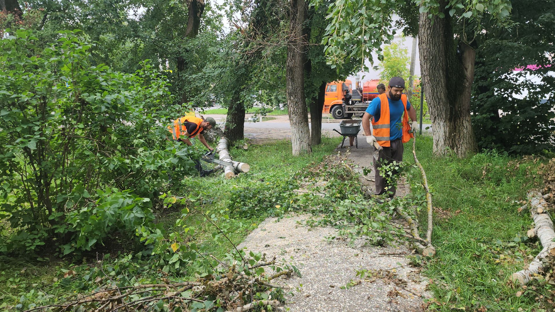 Истра, спил деревьев, непогода, упавшие деревья,