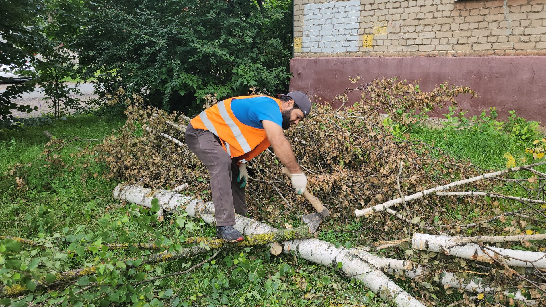 Истра, спил деревьев, непогода, упавшие деревья,