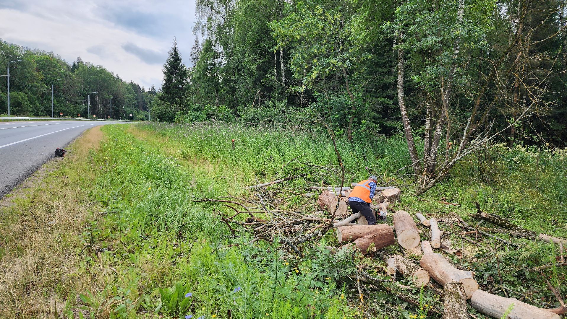 истра, дороги, расчистка,