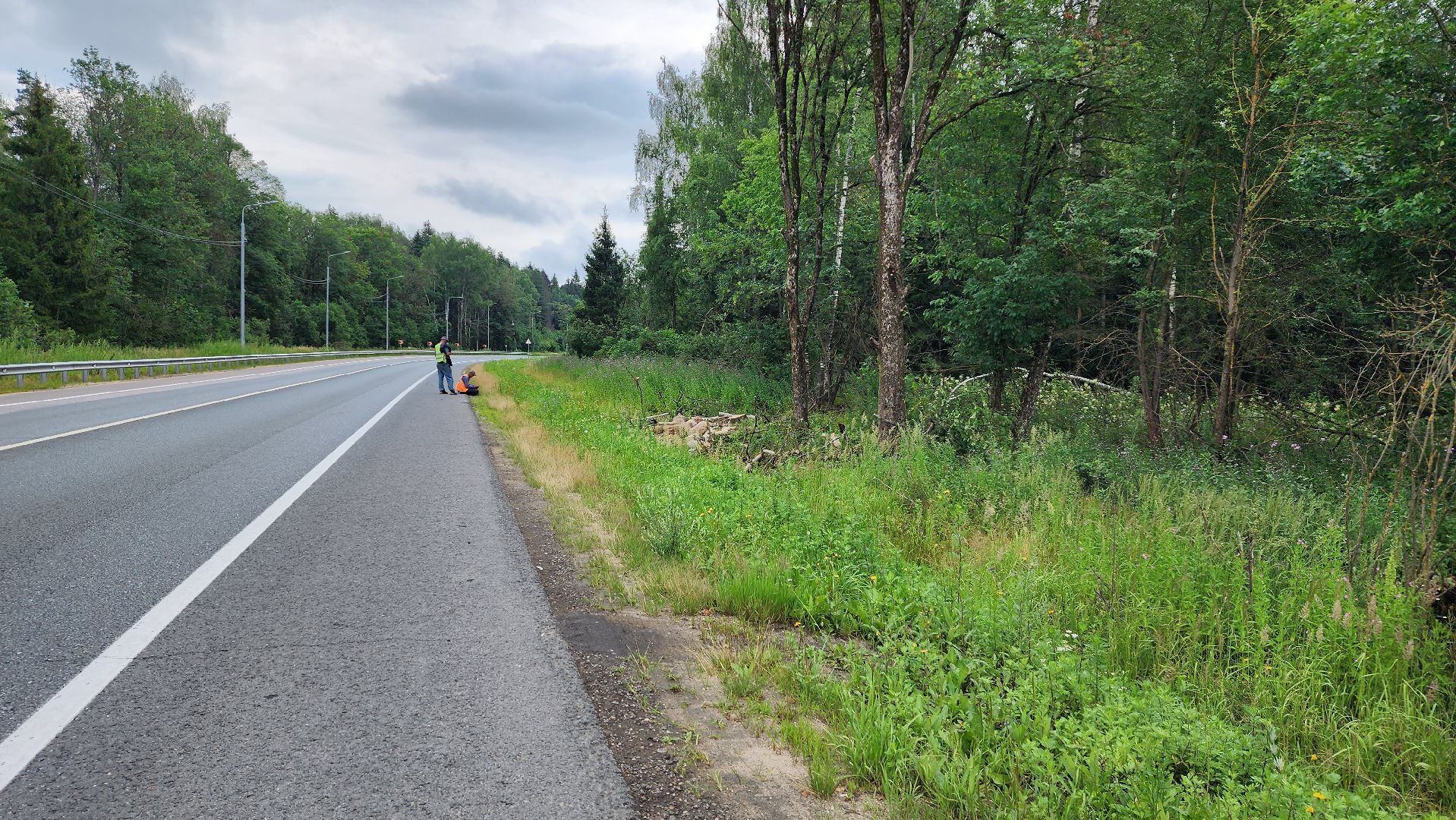 истра, дороги, расчистка,